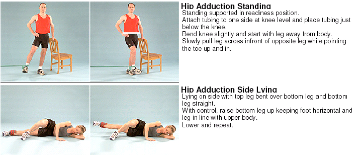 Adductor Muscles Exercises